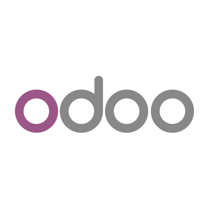 Odoo Website Builder