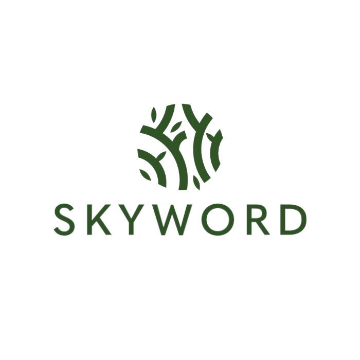 Skyword360